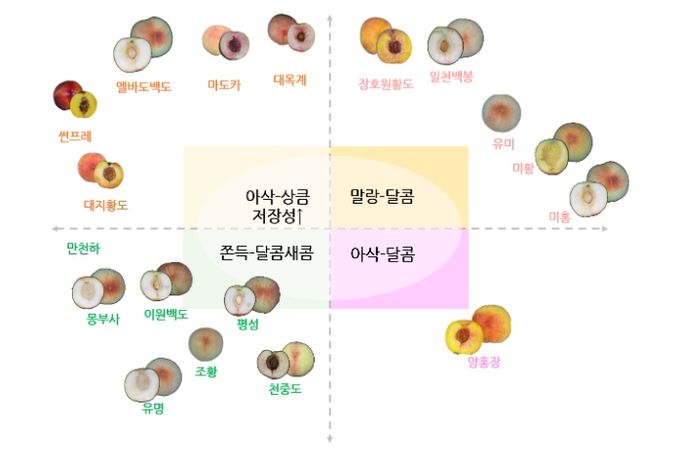 소비자 공감 복숭아 맛 정보 지도(안)