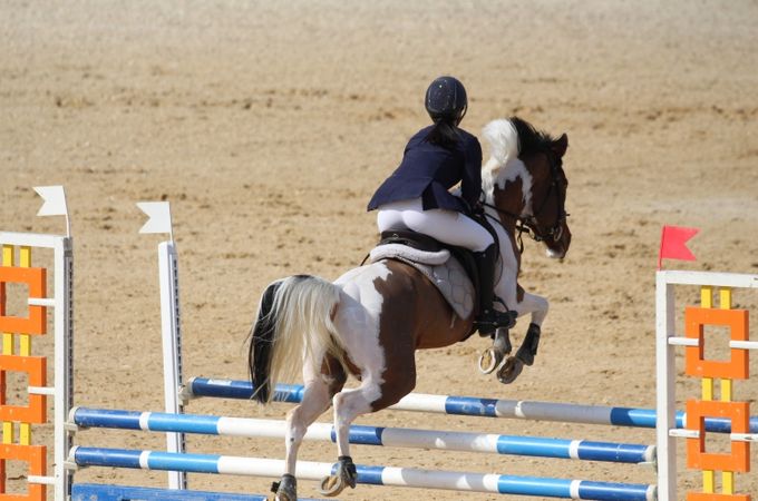 승마대회 사진(출처 대한승마협회)