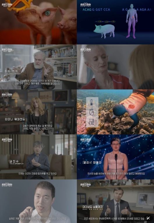 (사진 제공 = KBS 1TV ‘트랜스휴먼’)