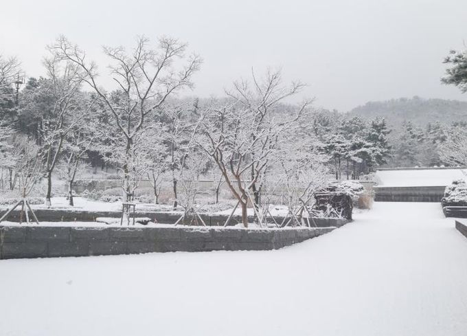 수목원의 설경
