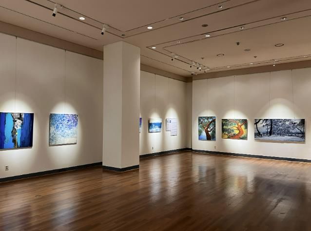 수원박물관 ‘수원의 기억, 삶의 색–전통·자연·일상으로 읽는 현대미술’ 전시