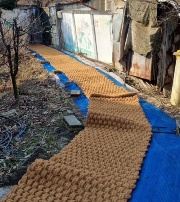 평택시 오성면 지역사회보장협의체, 동절기 안전 점검 중 홀몸노인 가구 낙상 예방 지원